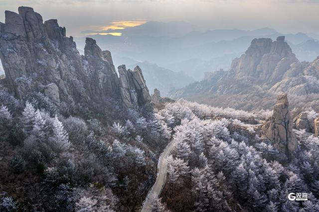 崂山迎来雾凇：石与松的素色禅意