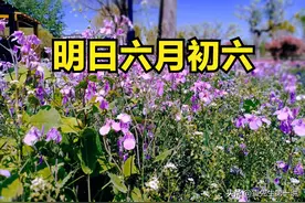 不是迷信！明日六月初六，记得：1不回、2不晒、3不洗，别大意了图片