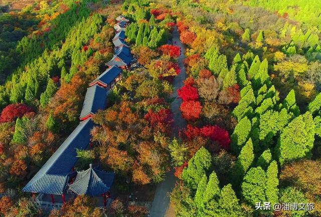 收藏！最美的11月游淄博，这些景区通通免费或优惠！