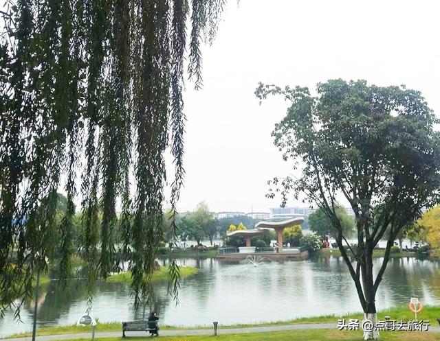 成都主城区最大人工湖，秋天超级惊艳，不要门票，地铁公交直达！