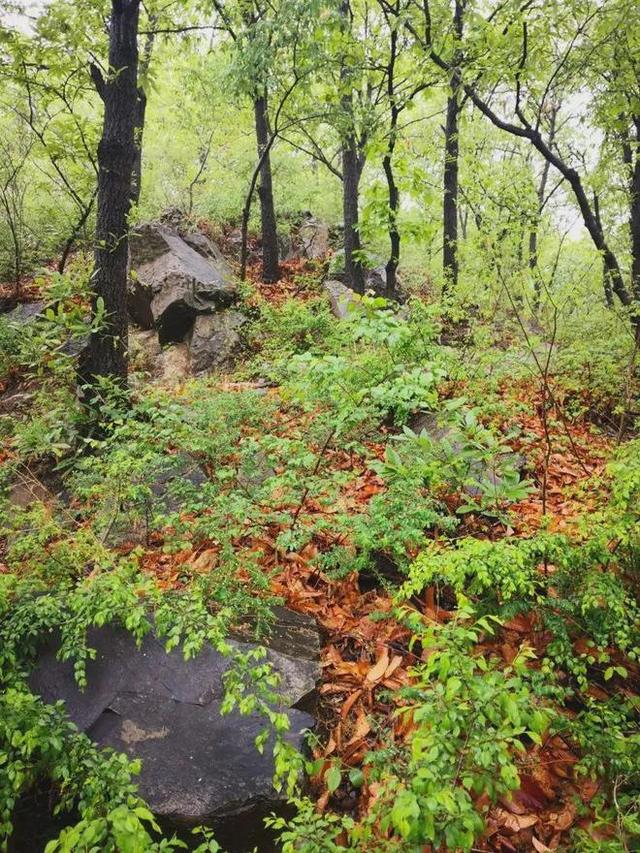 初秋→深秋，昌平这 7 条赏秋线路必冲！（二）