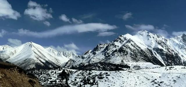 那年,将军到洛扎曲调研,不料桥被冲毁,将军一行徒步前行…