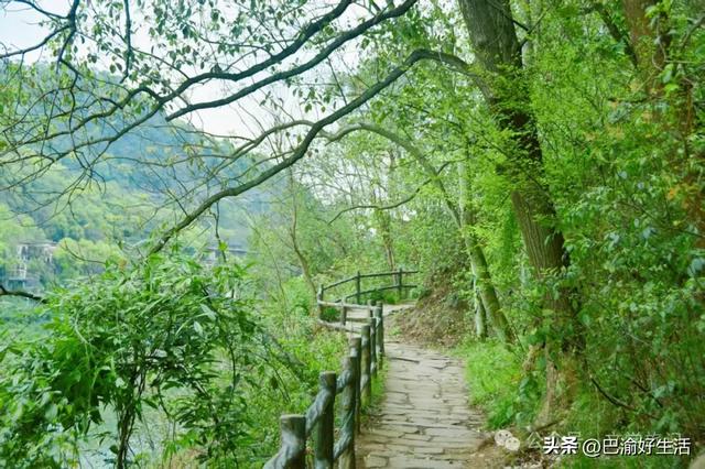 重庆张飞古道大环线攻略:峡谷温泉,三国秘径,卢作孚纪念馆