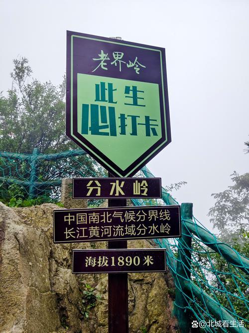 南阳，到底有多“中”？这座被低估的河南宝藏，藏着半部中华史！
