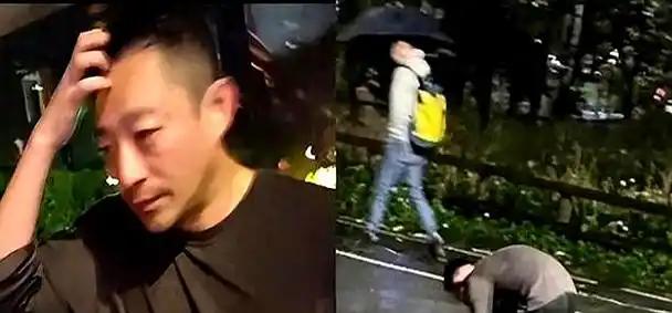 风水轮流转，今年到我家！S家、西贝上赶着送流量，汪小菲赢麻了