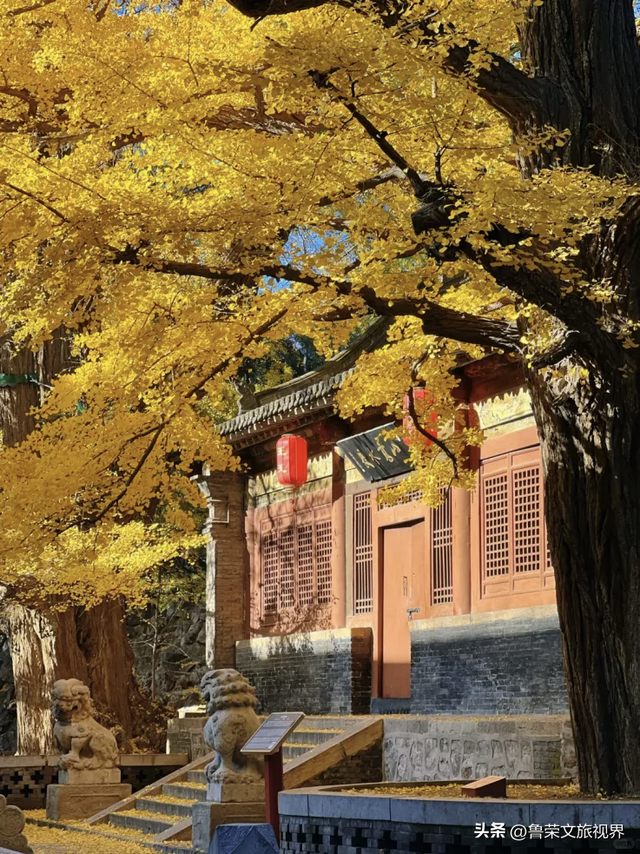 山河藏史诗，丝路续传奇：山西与河西走廊的双重旅行盛宴