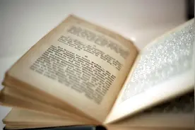 火器与白银：经济全球化舞台上明清中国的角色图片