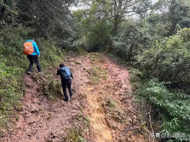 攀登昆明十峰之宜良老爷山，经历密林大雨考验，惊喜交加，难忘
