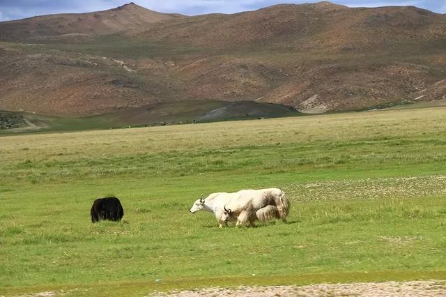 沙漠与湖泊相拥！西藏这片五彩沙丘美到犯规