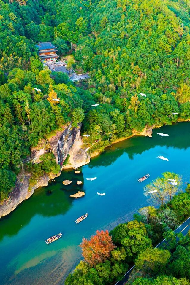 快来抱抱~ | Welcome to 疯狂·武夷山·动物城