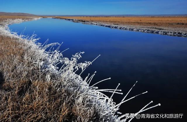 青海的冬天有多美?风裹着雪吻过河流,阳光在雪山尖写满温柔