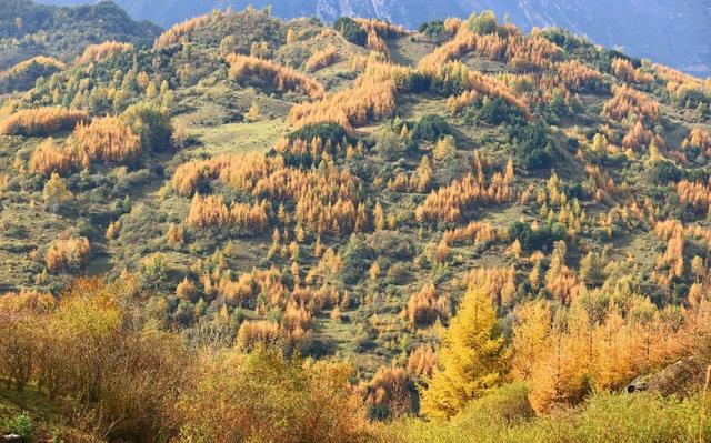 武都秋韵：一城诗意染山河