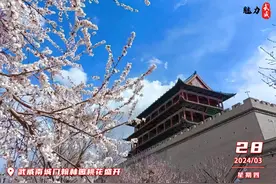 魅力武威丨武威南城门翰林园桃花盛开图片