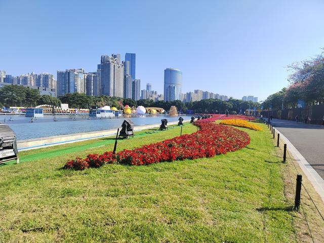 花城看花看灯饰