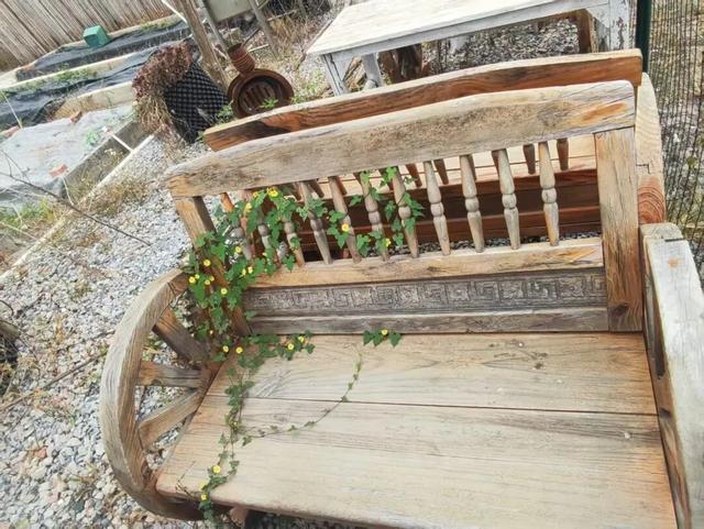 散文丨陈葶：闲情寄田园