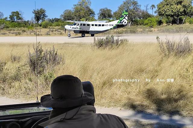 博茨瓦纳：死贵的旅游地，是值得追梦，还是被过度神话的伪天堂？