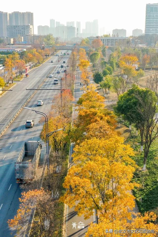 大降温后，青山最美冬景即将上线！