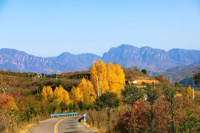 渑池坡头红叶拍摄记：一场迟来的秋日邂逅