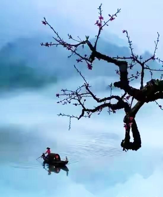 岁月匆匆，人生若梦，半生烟华，半生落花，愿流年常处花开中