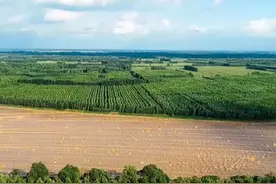 中国市辖区概况:济阳——大河之上，新城济阳！图片