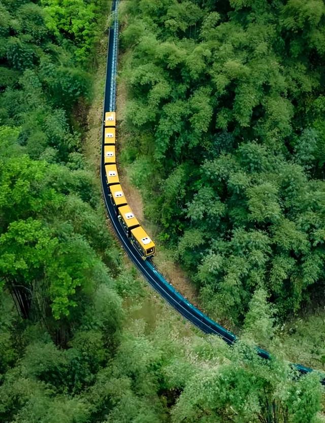 邛崃秋假放大招！这些景区免门票啦，亲子错峰游直接冲