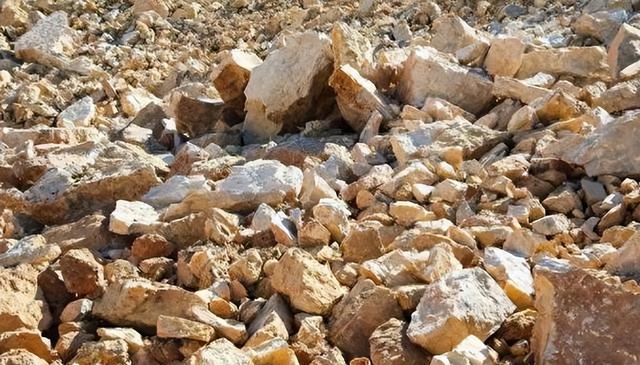 特朗普向全球发出通牒：180天内必须对中国动手	，不配合就加税