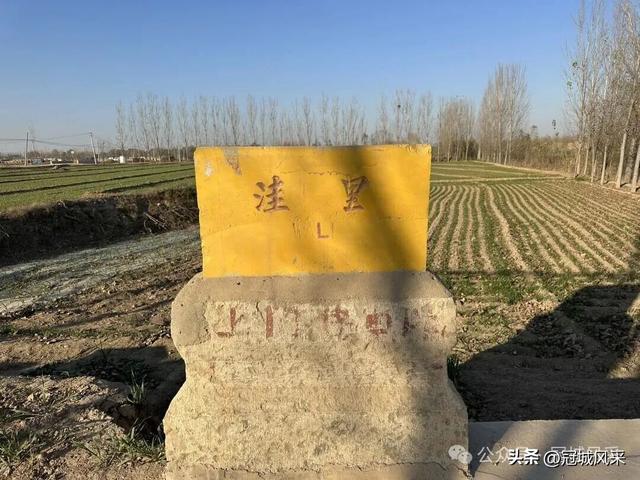 冠县乡韵·贾镇洼里村