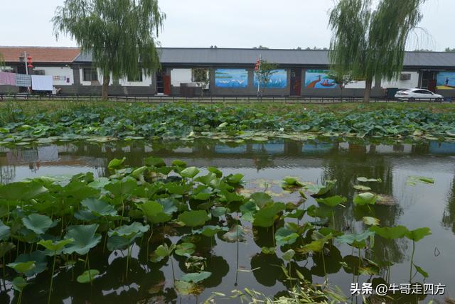 宝坻小辛码头：古渡辛埠藏雅韵，漕声千载忆根源