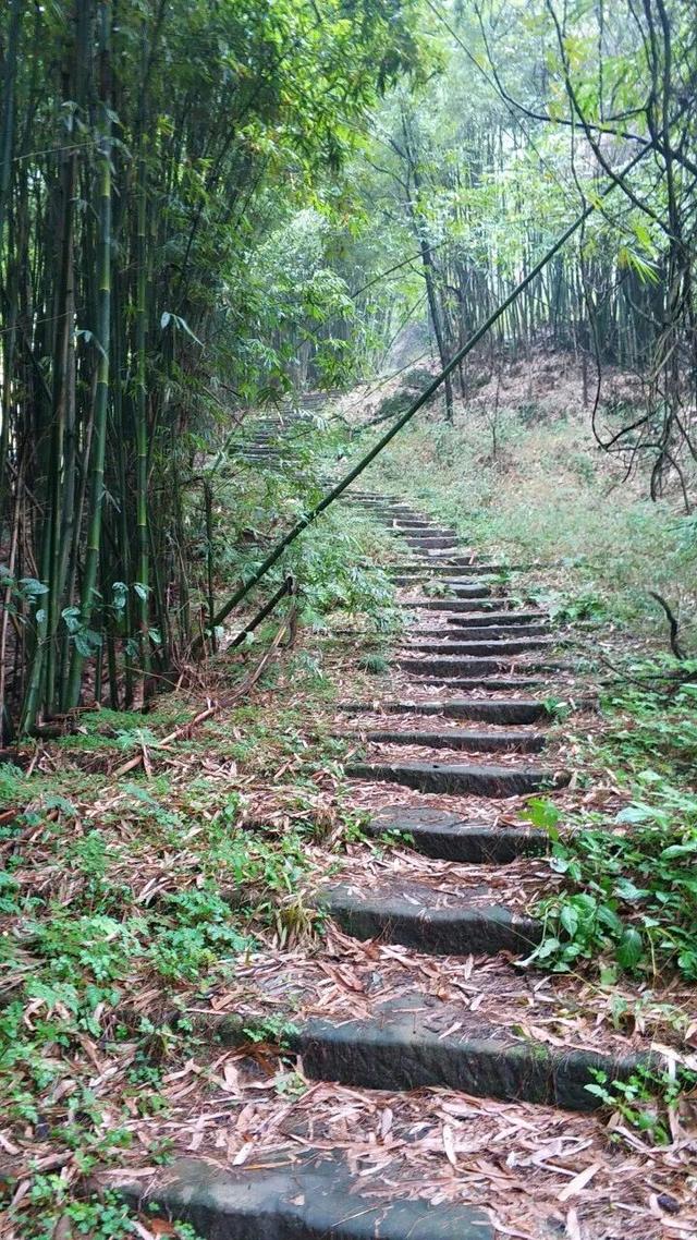 重庆南山被遗忘的千年古道，曾是重庆出川重要通道，如今成为秘境