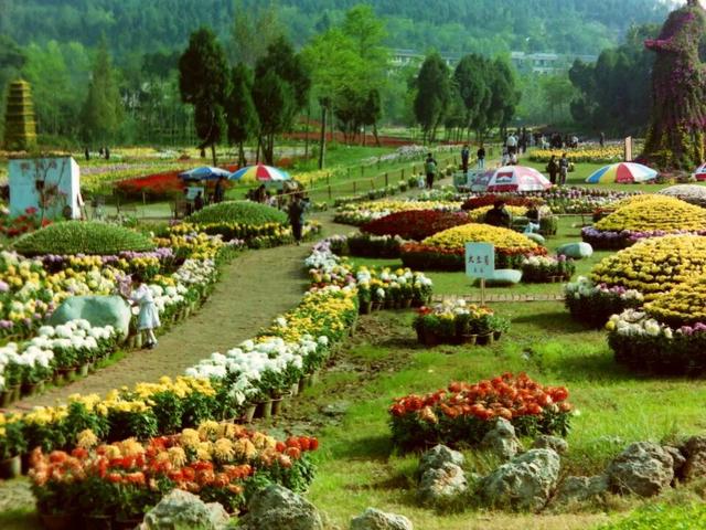 【美丽四川】一湖碧水，半城烟火！玄珠湖的时光故事，就从那个秋夜讲起……|| 雷媛