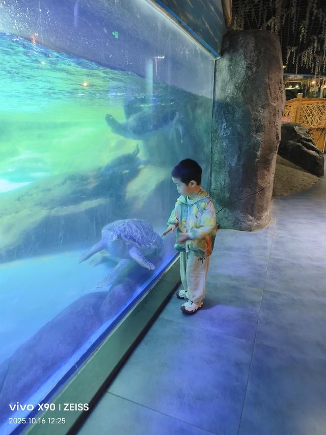 成都 极地海洋公园（58）2025年10月16日