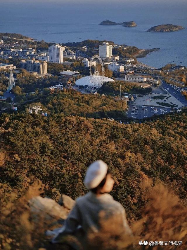 大连秋日鎏金时：荧光海低语，老电车叮咚，海鲜盆里盛着山海情