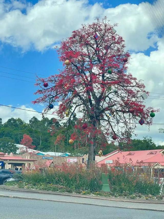 路上·布里斯班 ‖ 又出来赚小时来了
