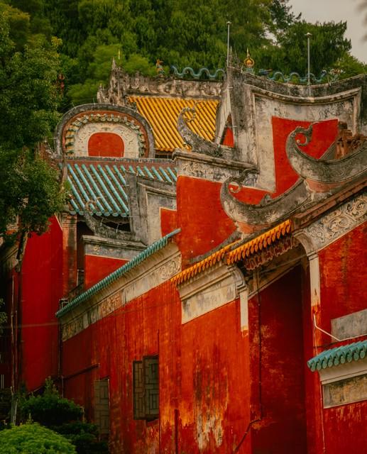 广西秋熟透了！红枫燃林、银杏铺古村，3条路线承包全国颜值巅峰