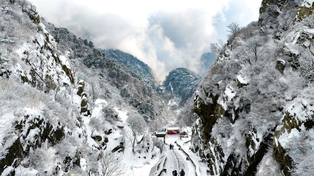 美到失语！雪后泰山限定风景，仿佛天宫坠落人间！