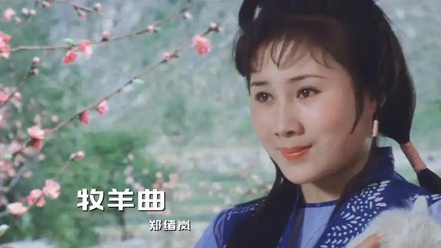 原来早已不是中国籍，被老外“玩腻”后回国，郑绪岚现状令人唏嘘