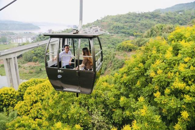 重报观察｜山水清欢秋韵浓，解锁重庆秋季旅游新趋势