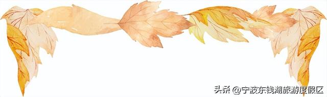 秋假去哪儿？来华侨豪生一站式玩耍！