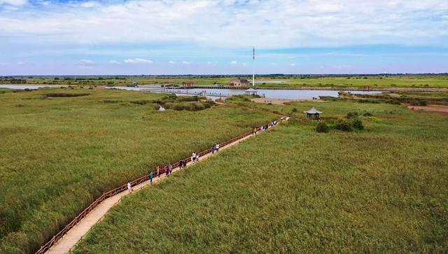 【黄河口生态旅游区】抓住假期的小尾巴，邂逅自然多彩魅力