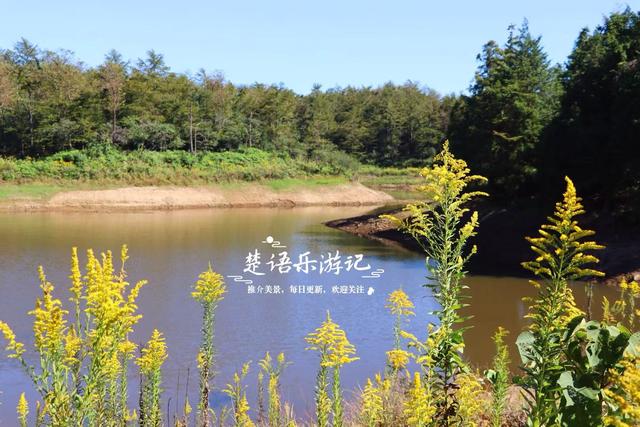 浙江宁波的桃源级森林公园，藏着一条黄金古道，景美但需做好攻略
