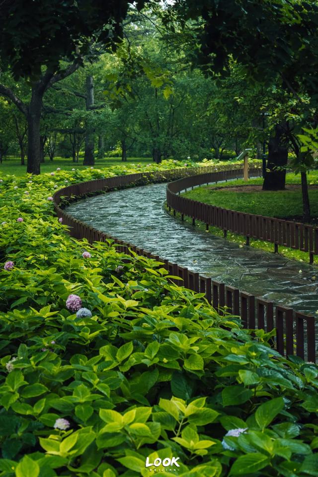 夏天来北京，就为了逛这座公园