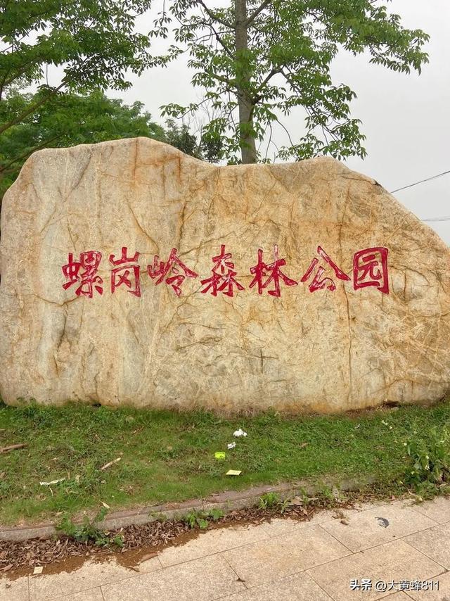 认识大美广东的每个县——第23波：遂溪