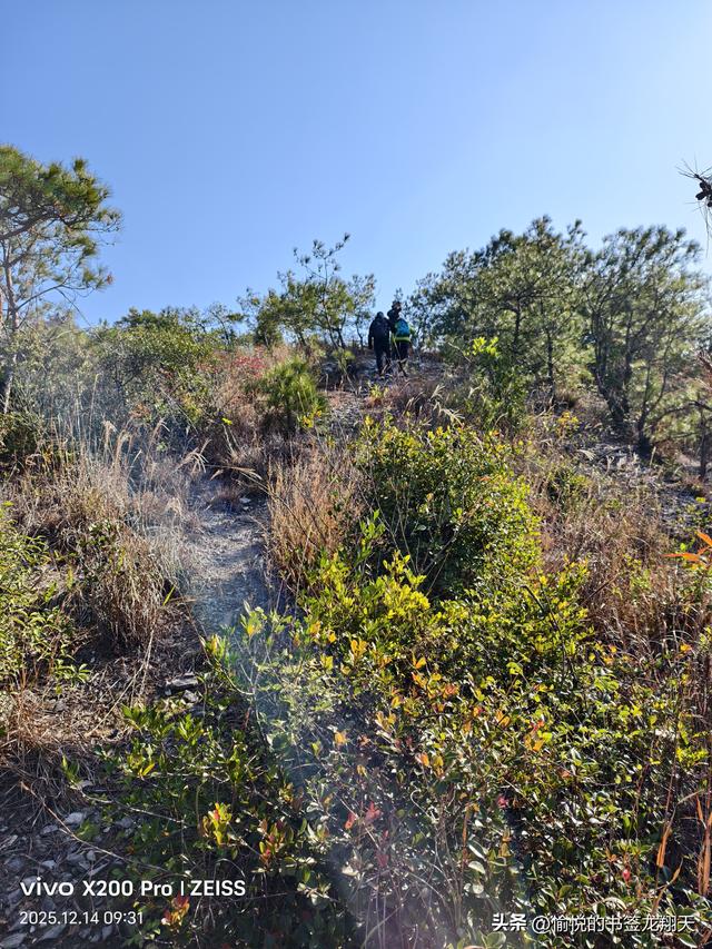 临海牛背山：浙东秘境里的云端诗行