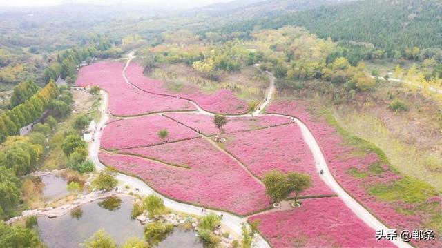 美在邯郸丨初冬的紫山