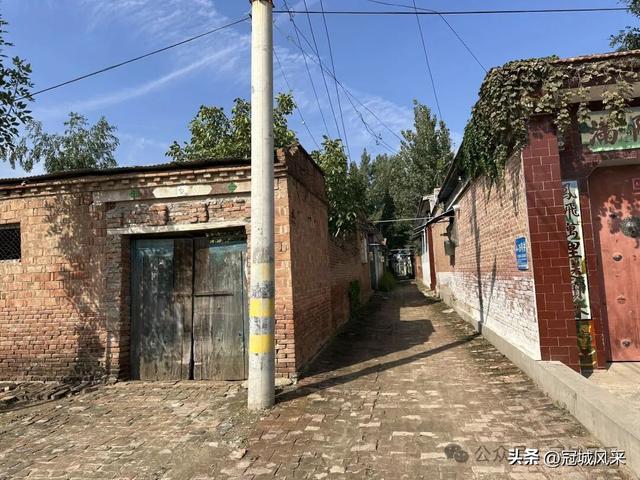 冠县乡韵·兰沃乡大柳邵村