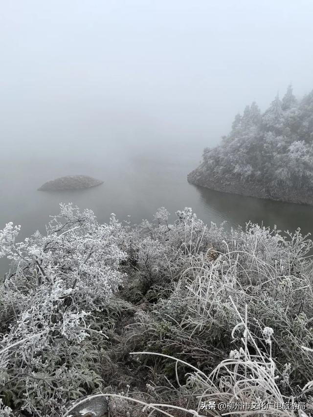 柳州冬日颜值交给雾凇负责！我只负责“哇塞！”+注意安全~