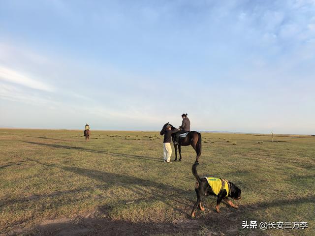 北上大草原第7站：入住贡格尔草原深处