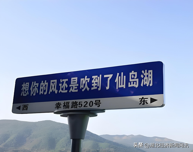 【中国经济时报】阳新县王英镇：千岛盛宴，绿动未来