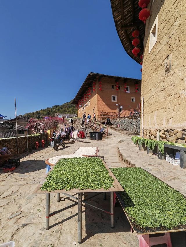 土楼拾光①:福建土楼景区——田螺坑片区（2025.2.9 漳州·南靖）