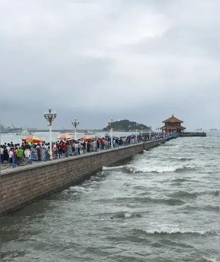 多种因素去比较青岛和大连,究竟哪座城市更胜一筹?